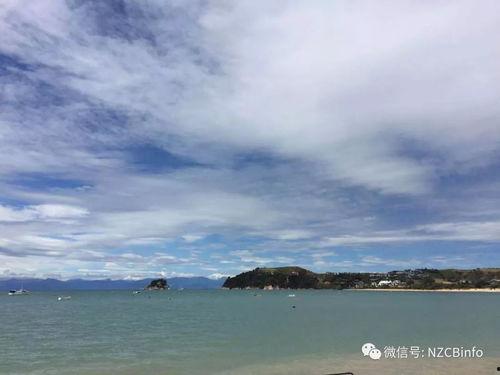 碧海蓝天 在线观看,在线畅享海洋生态之美 第2张 碧海蓝天 在线观看,在线畅享海洋生态之美 第2张